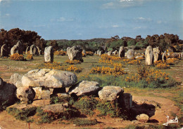 56 CARNAC Dolmen Et Menhirs De KERMARIO (Scan R/V) N° 1 \MS9032 - Carnac