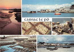56 CARNAC LE-PÔ Centre D'Ostreiculture Porh-en-Iliz Porh-St-Guenhael (Scan R/V) N° 49 \MS9031 - Carnac