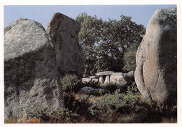 56 CARNAC Alignements De KERMARIO Le Dolmen (Scan R/V) N° 6 \MS9032 - Carnac