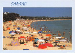 56 CARNAC La Trinité Sur Mer Plage De Men-Du (Scan R/V) N° 34 \MS9031 - Carnac