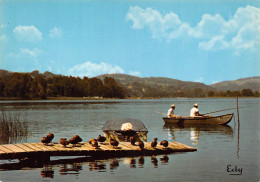 73 Saint-Alban-de-Montbel Lac D'Aiguebelette Les Canards Et Les Pêcheurs (Scan R/V) N° 44 \MS9045 - Chambery