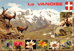 73 Pralognan-la-Vanoise Bouquetins Chardon Bleu Et Edelweiss (Scan R/V) N° 30 \MS9042 - Pralognan-la-Vanoise