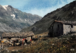 73 Pralognan-la-Vanoise La Grande-Casse Alpage De Haute Montagne (Scan R/V) N° 36 \MS9042 - Pralognan-la-Vanoise