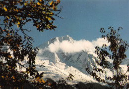 73 Le Grand Bec De PRALOGNAN (Scan R/V) N° 24 \MS9042 - Pralognan-la-Vanoise