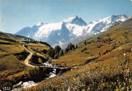 05 LA MEIJE Les Prés En Fleurs (Scan R/V) N° 23 \MS9063 - Briancon