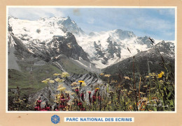 05 LA MEIJE Massif Des Ecrins Jardin De Fleurs (Scan R/V) N° 12 \MS9063 - Briancon