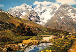 05 LA MEIJE Pic Gaspard Depuis Le Jardin Alpin Du Col Du Lautaret (Scan R/V) N° 24 \MS9063 - Briancon