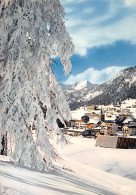 05 Montgenèvre Givre Et Glace Sur Les Sapins (Scan R/V) N° 27 \MS9062 - Briancon