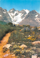 05 Col Du LAUTARET Reliant Bourg-d'Oisans à Briançon La MEIJE Jardin Alpin (Scan R/V) N° 58 \MS9059 - Briancon