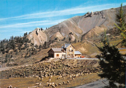 05 Briançon à Château-Ville-Vieille Col D'IZOARD Le Refuge Napoléon (Scan R/V) N° 11 \MS9059 - Briancon