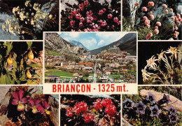 05 Briançon Multivue De Fleurs (Scan R/V) N° 75 \MS9058 - Briancon