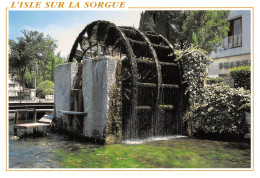 84 L'Isle-sur-la-Sorgue Roue à Aubes Sur La Sorgue (Scan R/V) N° 13 \MS9077 - L'Isle Sur Sorgue