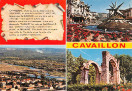 84 CAVAILLON Multivue (Scan R/V) N° 25 \MS9076 - Cavaillon