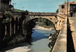 84 VAISON-LA-ROMAINE Le Pont Romain à Arche Unique (Scan R/V) N° 30 \MS9075 - Vaison La Romaine