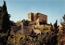 84 VAISON-LA-ROMAINE Le Chateau (Scan R/V) N° 14 \MS9075 - Vaison La Romaine