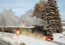 Locomotive Hartmann 2110 99 582 SCHÖNHEIDE Allemagne (Scan R/V) N° 23 \MS9071 - Trenes