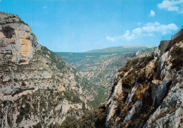 84 Gorges De La Nesque, Monieux (Scan R/V) N° 50 \MS9081 - Carpentras