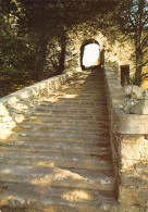 84 BONNIEUX La Montée Vers L'église Haute (Scan R/V) N° 9 \MS9081 - Apt