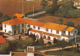 84 Châteauneuf-du-Pape Domaine Des Roumiguières (Scan R/V) N° 51 \MS9080 - Chateauneuf Du Pape