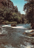 84 Fontaine-de-Vaucluse Cascades Et Chateau (Scan R/V) N° 17 \MS9079 - L'Isle Sur Sorgue