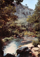 84 Fontaine-de-Vaucluse Les Cascades (Scan R/V) N° 12 \MS9079 - L'Isle Sur Sorgue