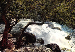 84 Fontaine-de-Vaucluse La Première Cascade (Scan R/V) N° 19 \MS9079 - L'Isle Sur Sorgue