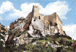 84 Fontaine-de-Vaucluse Les Ruines Du Chateau (Scan R/V) N° 6 \MS9079 - L'Isle Sur Sorgue