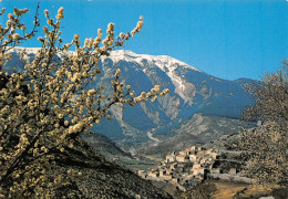 84 Mont VENTOUX Village De BRANTES (Scan R/V) N° 7 \MS9078 - Vaison La Romaine