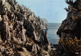 13 CASSIS CALANQUE De EN-VAU (Scan R/V) N° 66 \MS9091 - Cassis