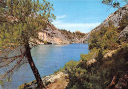 13 SAINT-REMY-de-PROVENCE Le Lac (Scan R/V) N° 44 \MS9091 - Saint-Remy-de-Provence