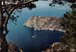 13 CASSIS CALANQUE Rocher De Sormiou (Scan R/V) N° 67 \MS9091 - Cassis