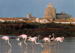 13 Les Saintes-Maries-de-la-Mer Flamants Roses (Scan R/V) N° 68 \MS9090 - Saintes Maries De La Mer