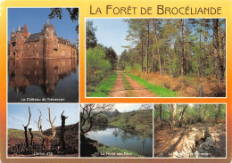 35 Forêt De Brocéliande à Paimpont (Scan R/V) N° 4 \MS9089 - Paimpont
