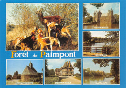 35 Paimpont La Foret Carte Vierge Non Circulé (Scan R/V) N° 73 \MS9087 - Paimpont