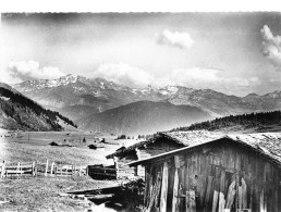 73 Hauteluce LES FRUMIERS Chalets Au Col Des Saisies Prés De BEAUFORT (scan R/V) 61 \PC1205 - Albertville