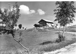 73 Hauteluce  Col Des Saisies Chalet De La Colonie De Vacances Des Acièries D'UGINE  (scan R/V) 48 \PC1205 - Albertville