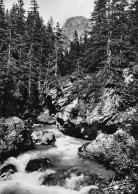 73 Pralognan-la-Vanoise Le Doron Et La Glière (scan R/V) 17 \PC1205 - Pralognan-la-Vanoise