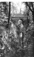 74 La Charniaz Bonne Le Pont Du Diable Les Bauges  (scan R/V) 14 \PC1205 - Annecy