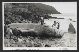 Portugal Açores São Miguel Pêche à La Baleine Vraie Photo Carte Postale Whale Fishing Azores Real Photo Postcard - Açores