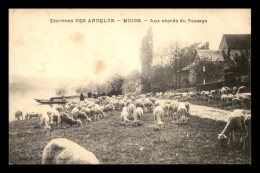 27 - MUIDS - TROUPEAU DE MOUTONS AUX ABORDS DU PASSAGE - Muids