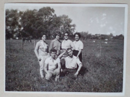 Photographie - Groupe D'amis Dans Un Champ. - Personnes Anonymes