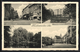 AK Mittweida, Rochlitzerstrasse, Ingenieurschule, Markt, Schwanenteich Im Park  - Rochlitz