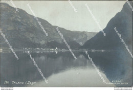 Bd89 Cartolina Urland I Sogn Norvegia Norway - Sonstige & Ohne Zuordnung