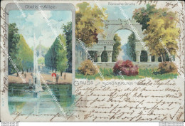 Bd139 Cartolina Gruss Aus Schonbrunn Germania - Altri & Non Classificati