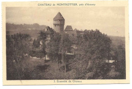 Lovagny - Château De Montrottier   # 10-20/3 - Lovagny