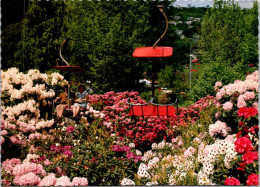 7-5-2024 (4 Z 25) Australia -  TAS - Launceston Cliff Garden And Flowers (posted With Butterfly Stamp) - Lauceston