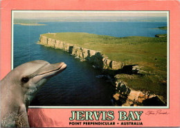 7-5-2024 (4 Z 25) Australia - Jervos Bay With Dolhn (posted With DINOSAUR Stamp - But Thin Fold On Left Of Card) - Dolphins