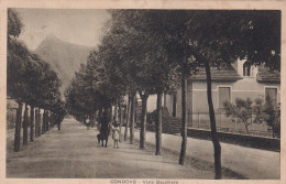 Condove Viale Bauchiero - Sonstige & Ohne Zuordnung