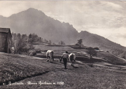 Bardineto Rocca Barbena - Autres & Non Classés