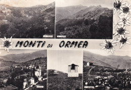 Monti Di Ormea Vedutine - Sonstige & Ohne Zuordnung